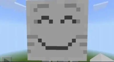 Latest Minecraft 1.21.110.24 beta preview gameplay photo