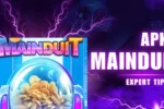 Mainduit APK
